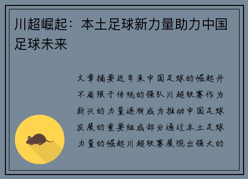 川超崛起:本土足球新力量助力中国足球未来 川超崛起:本土足球新力量助力中国足球未来